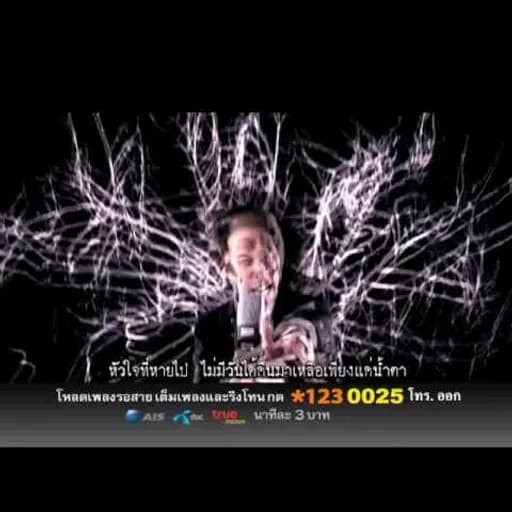 หัวใจที่หายไป