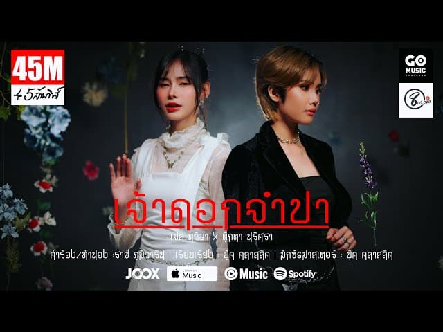 เจ้าดอกจำปา  ft. ตุ๊กตา นริศรา แปดแสนซาวด์