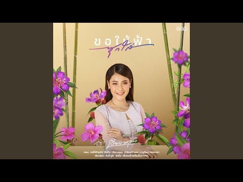 ขอให้ฟ้าซุกใส่ - เวียง นฤมล