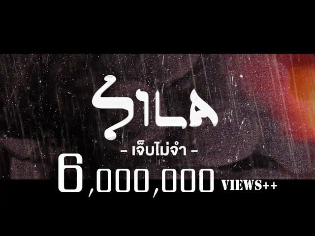 เจ็บไม่จำ