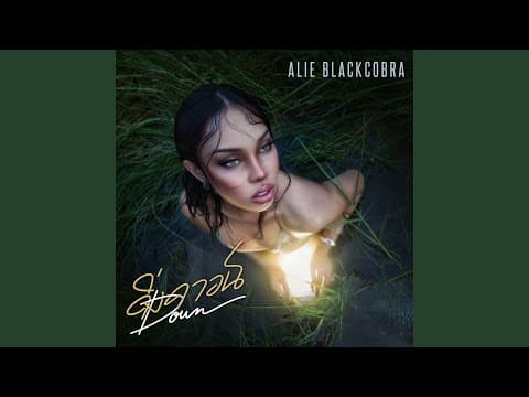 ดิ่งดาวน์ (DOWN) - ALIE BLACKCOBRA