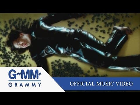 ผิดที่ไว้ใจ - Silly Fools