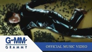 ผิดที่ไว้ใจ - Silly Fools