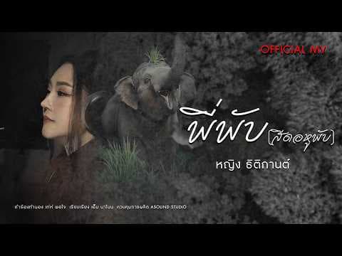 พี่พับ (สีดอหูพับ) - หญิง ธิติกานต์