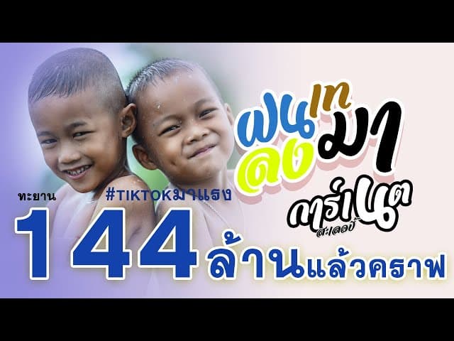 ฝนเทลงมา