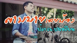 ตามบายเลยน้อง - ป๋อง ณ ปะเหลียน