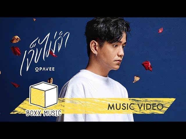 เจ็บไม่จำ