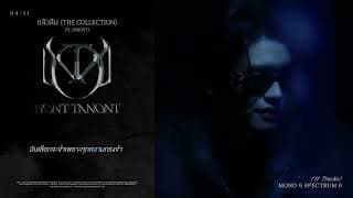 กลัวลืม (The Collection)