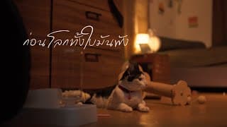 ก่อนที่โลกทั้งใบมันพัง Mr' พระจันทร์