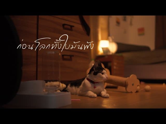 คอร์ดเพลง ก่อนที่โลกทั้งใบมันพัง Mr' พระจันทร์