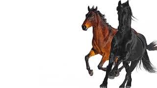 Old Town Road (Remix)  ft. Billy Ray Cyrus - Lil Nas X