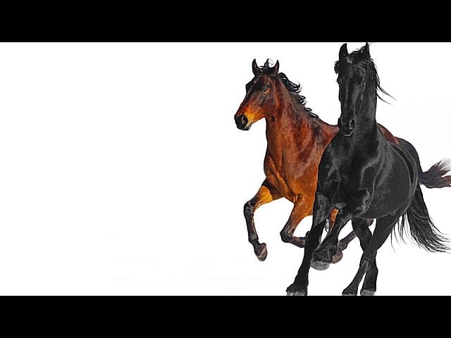Old Town Road (Remix)  ft. Billy Ray Cyrus