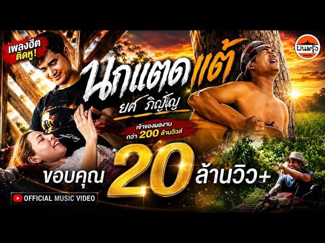 นกแตดแต้