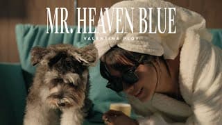 Mr. Heaven Blue - Valentina Ploy