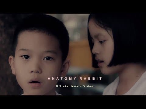 ยังเยาว์ - ANATOMY RABBIT