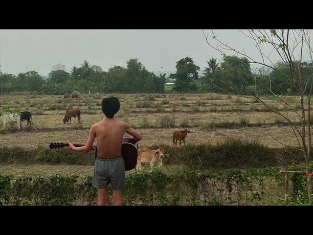 ทิ้งไว้กลางทาง