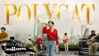 มานี่มา - POLYCAT