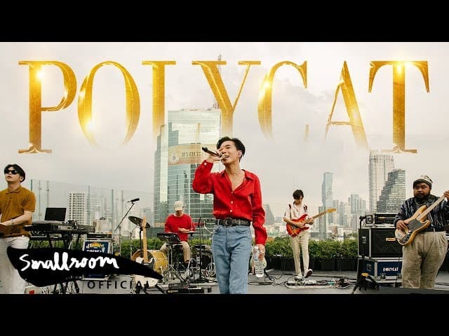 มานี่มา - POLYCAT