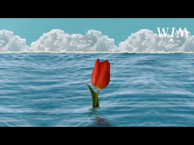 คอร์ดเพลง Weirdo - WIM