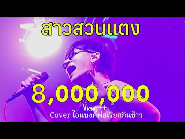 สาวสวนแตง (remix)
