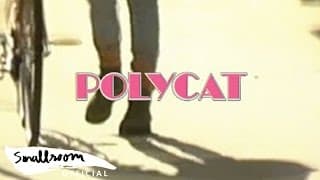 เพื่อนไม่จริง - POLYCAT