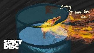 Sorry I Love You