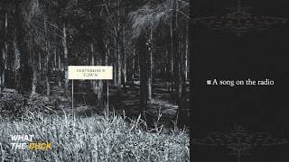 A song on the radio