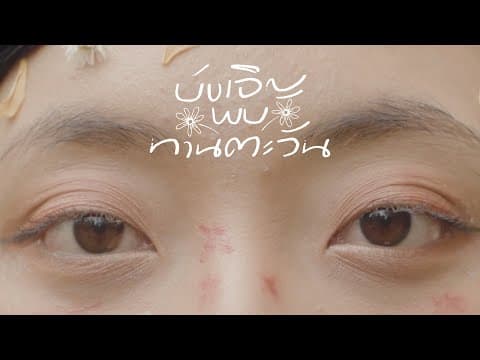 บังเอิญพบทานตะวัน - PURPEECH