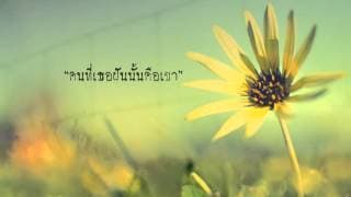 ดอกหญ้า - แต้ ศิลา