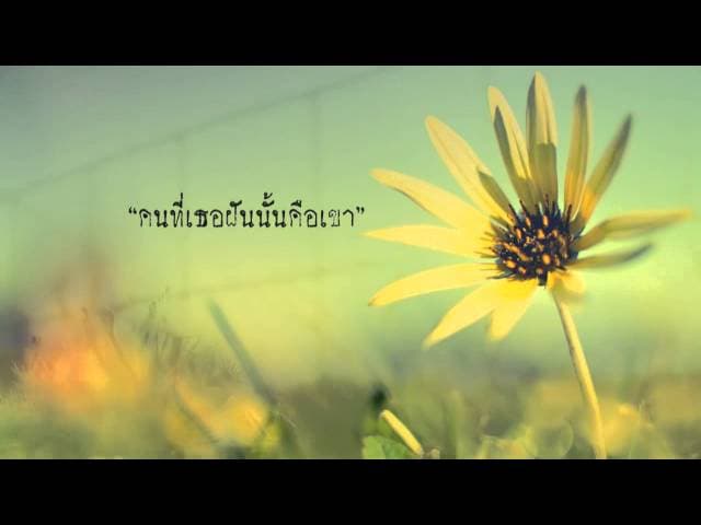 ดอกหญ้า
