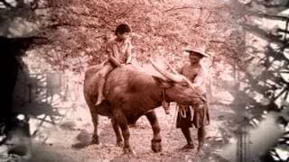 ชาวนาอาลัย - สีเผือก คนด่านเกวียน