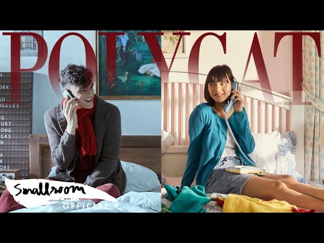 ข่าวดี - POLYCAT