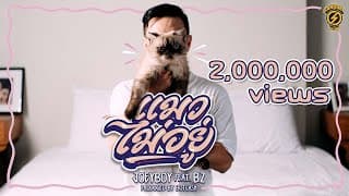 แมวไม่อยู่ - โจอี้บอย