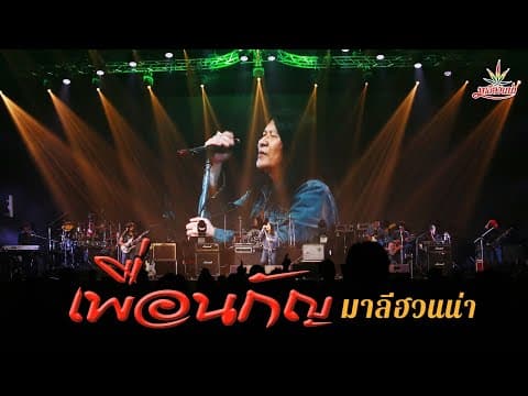 เพื่อนกัญ - มาลีฮวนน่า