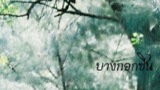 นานเท่าไหร่