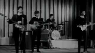 Love Me Do - The Beatles