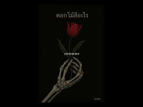 ดอกไม้สีอะไร - Intha