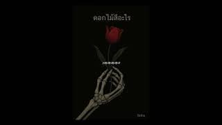 ดอกไม้สีอะไร - Intha