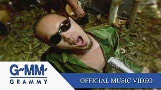 ใบไม้ - Fly