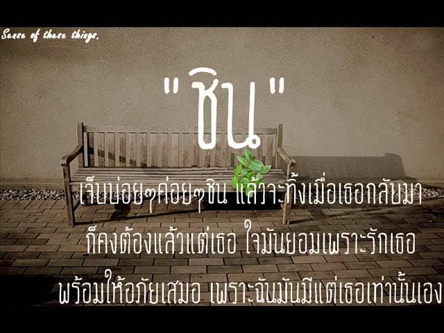 ชิน
