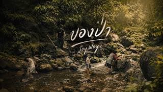 ของป่า - JOYWOY