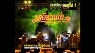 ฆาตะกัญชา