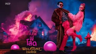 คืนนี้พี่โสด  x Chamook - Wolftone