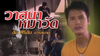 วาสนาหมาวัด