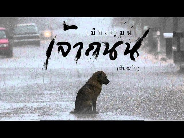 เจ้าถนน