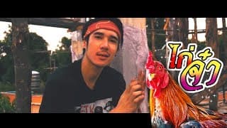 ไก่จ๋า (ลูกแทรป) - P-HOT