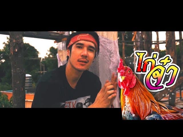 ไก่จ๋า (ลูกแทรป)