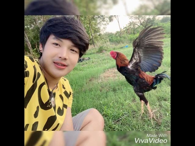 มนต์ฮักกาดน้ำไก่ - ลำเพลิน วงศกร