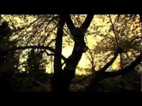 ดินแดนแห่งความรัก - Crescendo