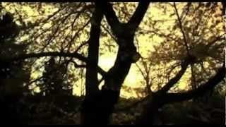 ดินแดนแห่งความรัก - Crescendo